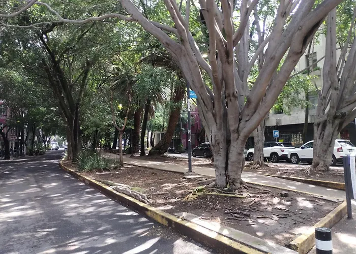 Piso 9 Condesa *