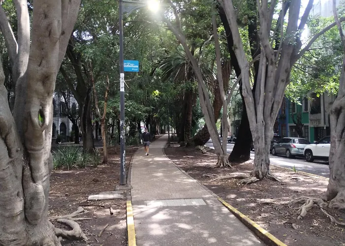 Piso 9 Condesa