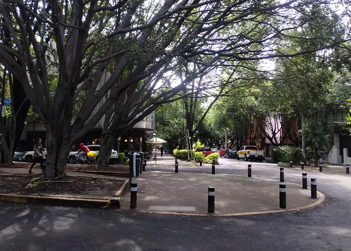 Piso 9 Condesa *